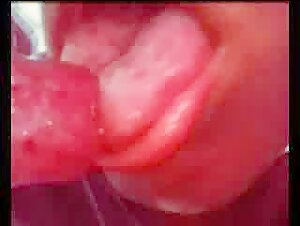 Dog Sex Video: An Extreme Experience