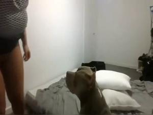 Fiery dog, shrunken woman: An extreme animal sex spectacle