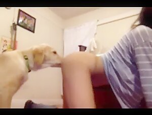 Bestiality sex video with a dog and a young woman