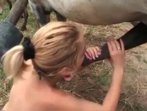 Equine Domination
