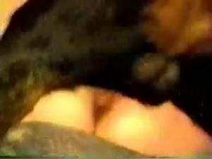 Raw satisfaction and instincts unleashed in this intense zoophilic journey.