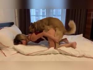 Explicit Dog Sex, Uncensored