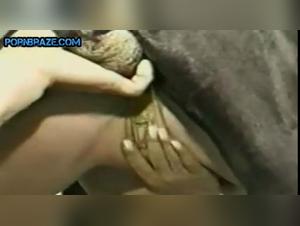 bestial masturbation, moans and wild pleasure