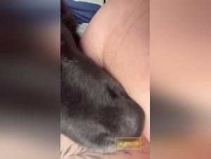 raw power and animal submission: a prohibited pleasure