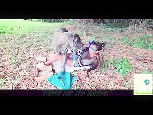 Sex with a dog: a bestial and extreme practice