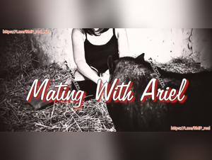 Animal Fantasy Unchained
