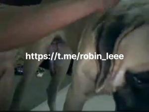 Experiment with Intensity: Kisses, Seduction and Canine Connection