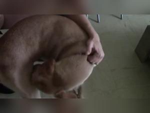 Dominacion canina: Jesse ofrece su cuerpo al animal