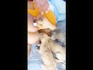 Explore the Limits of Ecstasy in This Bestiality Video