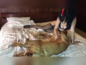 Live Sex with Dog - Untamed Impulses