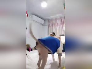 feline mockery, extreme animal abuse