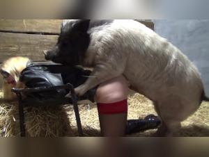 Yasmin's Sensual Exploration with her Dog