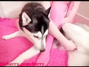 A zoophilia and dog sex video not to be missed