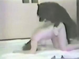 Animal pounding: The slut lets herself be exploited without respite