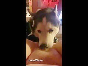Experience the Thrill of Bestiality and Zoophilia
