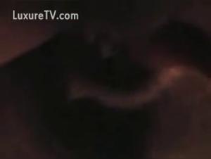 Bestial Sex: The Indecency of an Obsessed Blonde