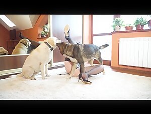 Watch Yasmin in Extreme Doggy Sex Scenes