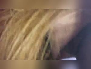 Exploration of Deepest Desires: Milly at Harmony with the Horse