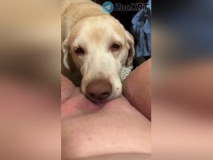 shared orgasms, transgressed borders