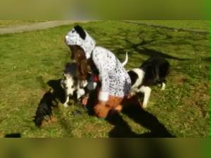 Wild Satisfaction: When the Dog Reigns Supreme