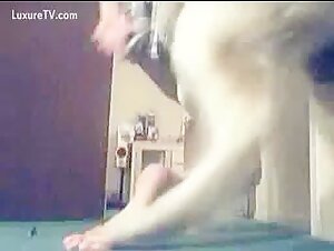 Explore the limits of extreme with dog sex videos