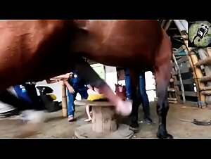 raw power, animal sex, discover the sensory abyss