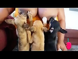 Experience bestiality with this extreme sex video