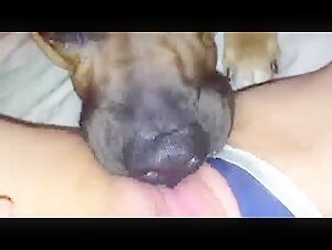 Bestiality-Sexvideo: Spass mit einem Hund erleben