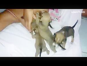 Hard sex scene with dog: a submissive slut lets herself be dominated