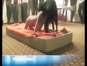 Bestiality Sex Videos: An Evening Like No Other