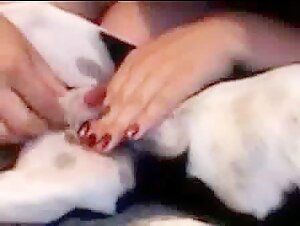 Bestiality sex videos: milf and dog