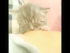Extreme bestiality video
