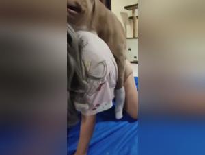 Bestial Addiction: A Woman, A Dog, Irresistible Delights