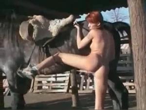 Raw Fuck: A Horse Smashes the Slut
