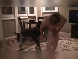feline suffering, insatiable human pleasure