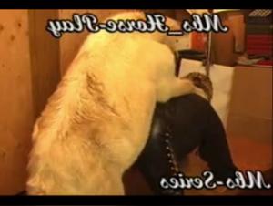 Discover the uncontrollable intensity of the union between woman and horse in this fascinating and forbidden world.