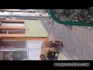 Bestial Delight: A Slut and her Dog