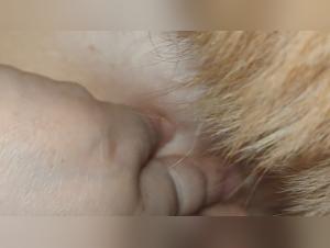 Obscenity Fetish: The Slut-Dog Kiss