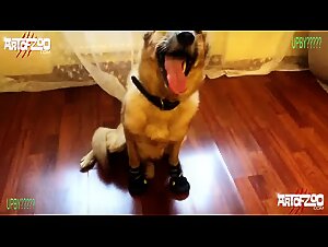 ArtOfZoo-Bitchcraft: Where the Predatory Instinct Reveals its Essence