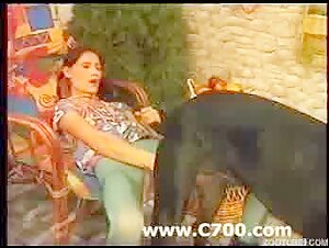Bestiality sex video compilation: hardcore and extreme scenes