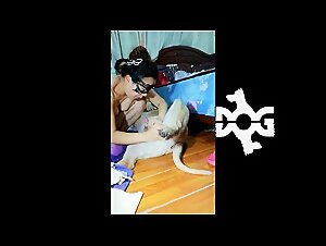 Animal Porn Zootube: Explore the World of Extreme Bestiality