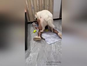 Canine power: A husband impassively witnesses the bestial rape of his wife