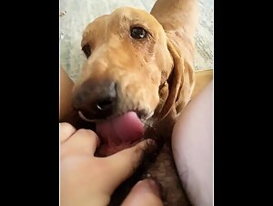 Dirtydoglinks porn: lesbian slut sucks dog during summer at her house