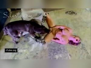 Sluts and dogs: an unhealthy pleasure to reveal
