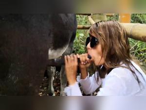 Animal Fuck: Incited Visions of Feline Submission