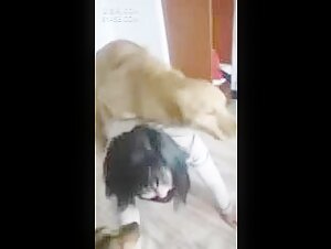 Extreme experience: Sex with a dog