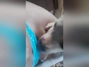 Dogfuck prohibited: animal enjoyment and sexual slavery