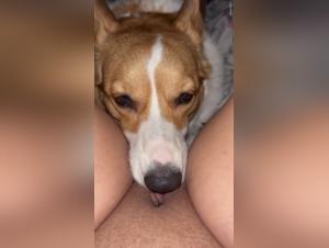 Obscure Exploration: When the Dog Dominates...