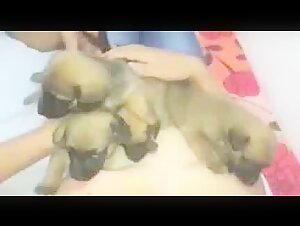 Video of extreme zoophilia with a woman and her dog