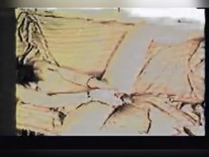 Vintage High: The Girl and the Fish